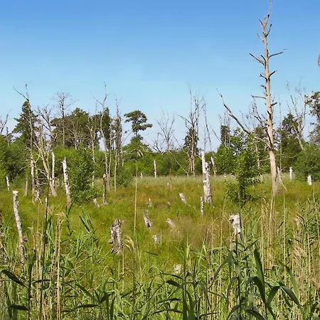 Lejlighed Ferienwohnung Schwarzenhof *